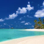 夏季休暇のお知らせ